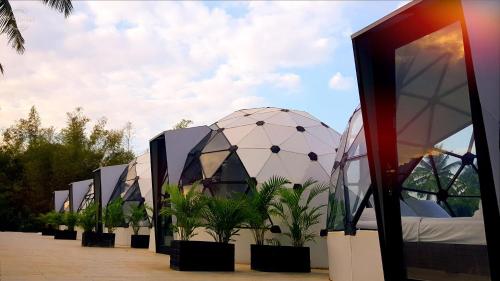 Фотография гостиницы Adventure Dome Resort