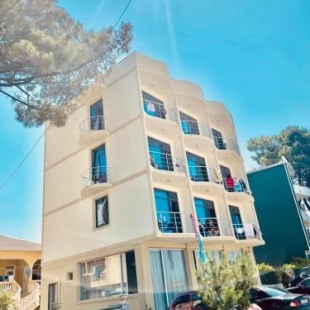 Фотография гостиницы Hotel David