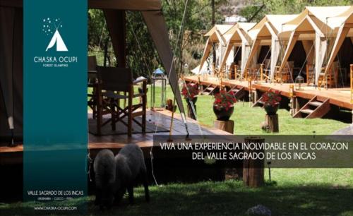 Фотография базы отдыха Glamping Chaska Ocupi