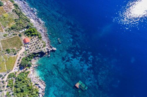 Фотография гостевого дома Villa Sea Edge