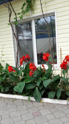 Фотография гостевого дома Отдых в Крыму Журавли