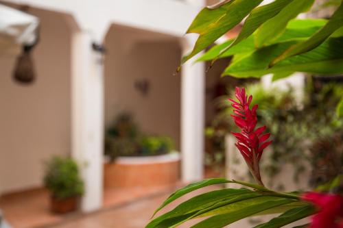 Фотография мини отеля Posada Kin