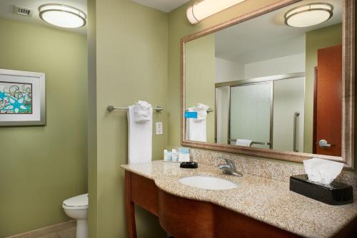 Фотография гостиницы Hampton Inn Bermuda Run / Advance