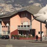 Фотография гостиницы Albergo Gasthof Salurn