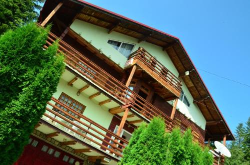 Фотография гостевого дома Pension Roni