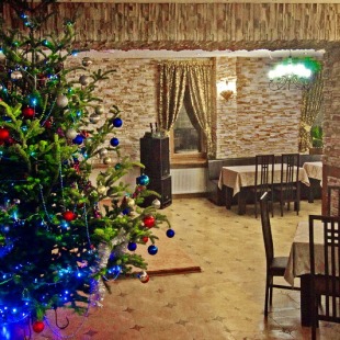 Фотография гостиницы Дриада