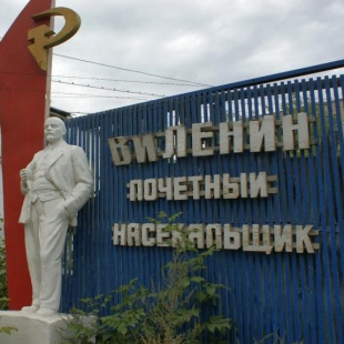 Фотография памятника Памятник В. И. Ленину - почетному насекальщику
