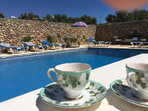 Фотография мини отеля Botanica B&B