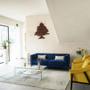 Фотографии гостиницы 
            Hotel & Suites Arges - Centro Chetumal