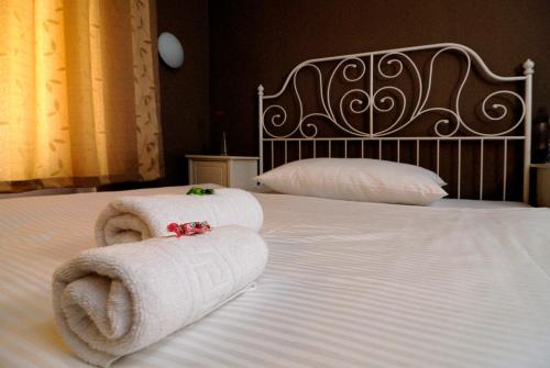 Фотография гостиницы Hotel Zlatá Štika