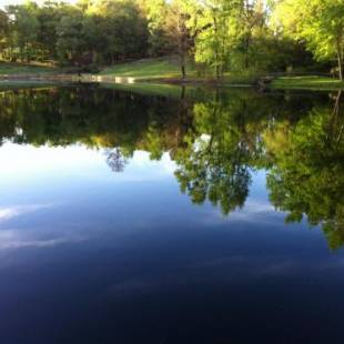 Фотографии гостевого дома 
            Dogwood Springs Lodgings