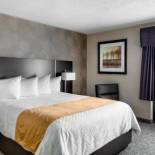 Фотография мини отеля Stonecroft Inn