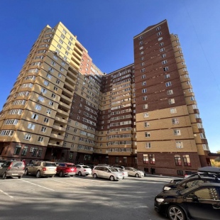 Фотография квартиры Риконе на улице Депутатская 110