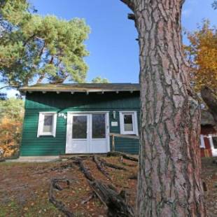 Фотографии гостевого дома
Strandhaus Dünenweg 39b