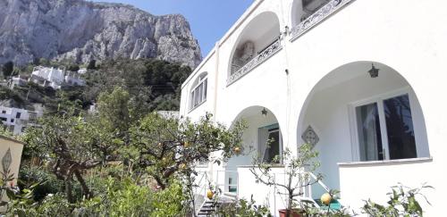 Фотография гостевого дома Villa Striano Capri - Guest House - Rooms Garden & Art