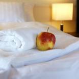 Фотография мини отеля City Center House Elephant