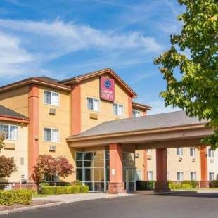 Фотографии гостиницы
Comfort Suites