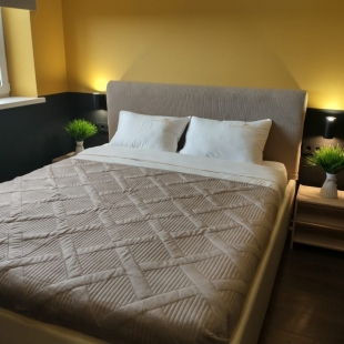 Фотография квартиры Квартира на Доломановском переулке 124с1