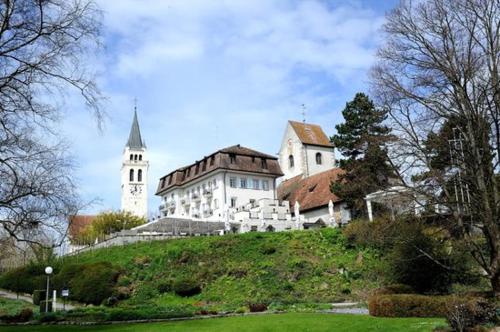 Фотография гостиницы Hotel Schloss Romanshorn