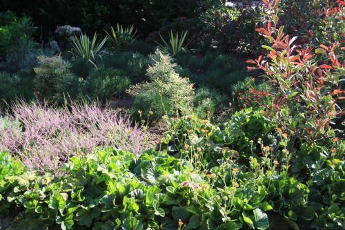 Фотографии мини отеля
Biedermeier