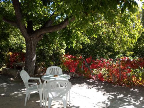 Фотография гостевого дома Cortijo Ramon Petra