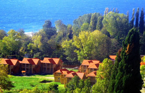 Фотография базы отдыха Парк-отель Озеро Дивное