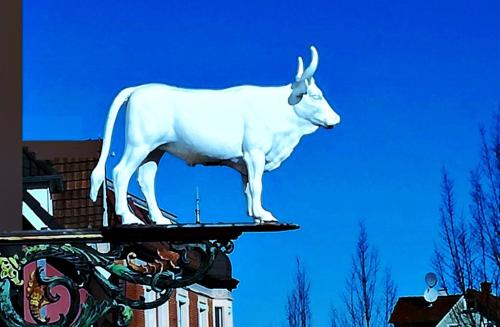 Фотография гостиницы Hotel zum Weissen Ochsen