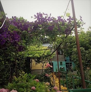 Фотография мини отеля Отдых у Ольги