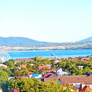 Фотография квартиры Квартира с видом на всю бухту