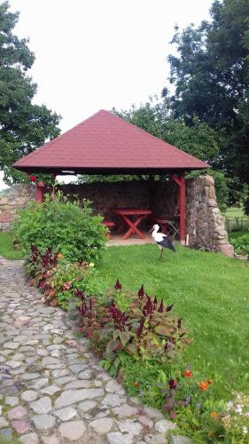 Фотография базы отдыха Agroturystyka Rewita