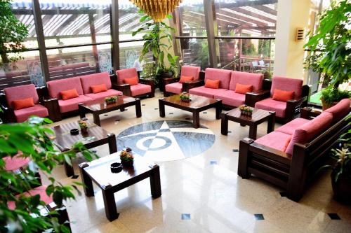 Фотография гостиницы Hotel Tecadra