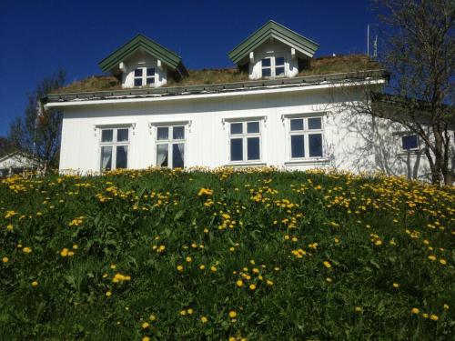 Фотография базы отдыха Kabelvåg Feriehus & Camping