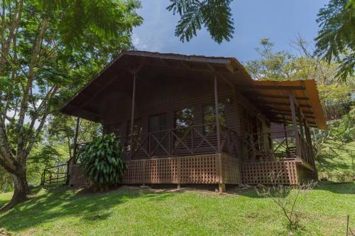 Фотография мини отеля Hospedaje La Naciente