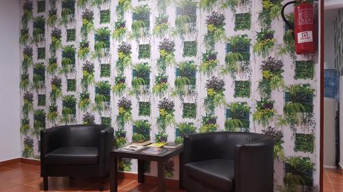 Фотография гостевого дома Pension La Playa