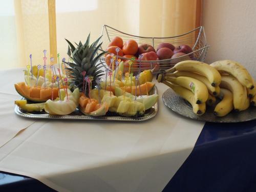 Фотография гостиницы Gästehaus Haßloch/Pfalz