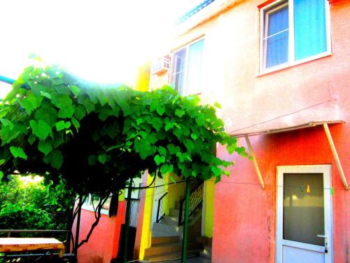 Фотография гостевого дома Виолетта