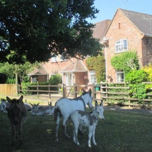 Фотография гостевого дома Hops Main House New Forest