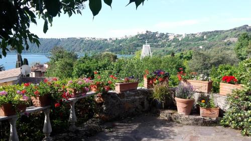 Фотография мини отеля Bed&Breakfast "Fiorella" sul Lago