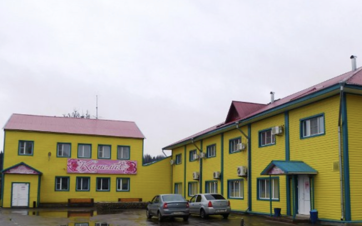 Фотография гостиницы Камелия