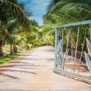 Фотографии мини отеля
Aloha AKU - Honu 2