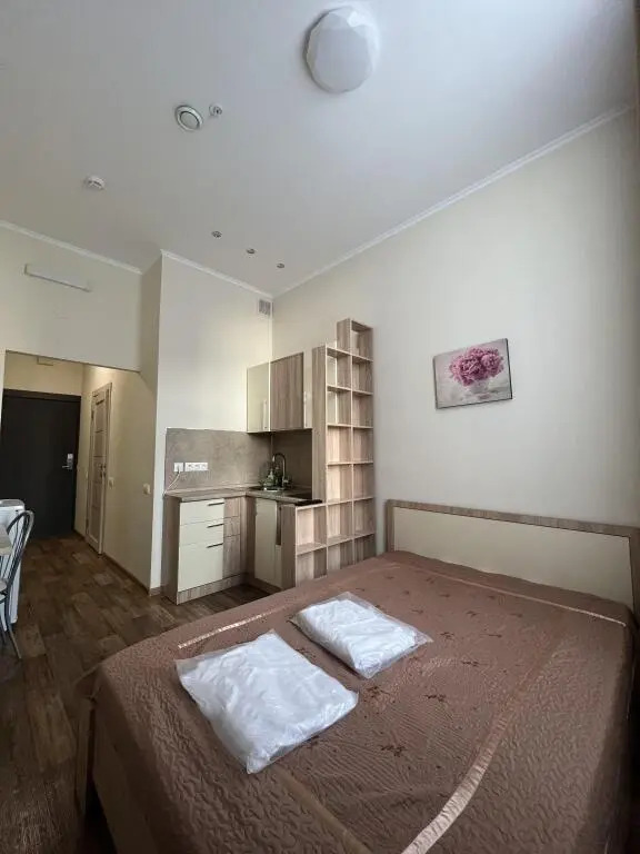 Фотография квартиры Апартаменты Саквояж 2