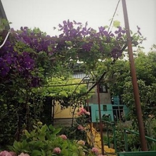 Фотография мини отеля Отдых у Ольги