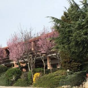 Фотографии гостиницы
Hotel Rural El Valle