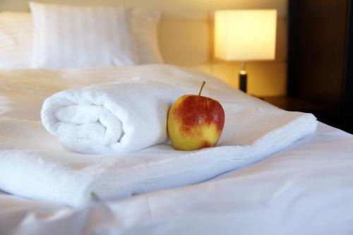 Фотография мини отеля City Center House Elephant