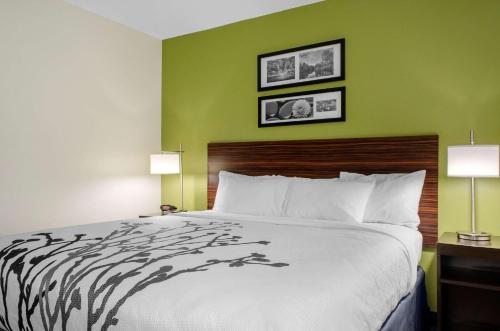 Фотография гостиницы Sleep Inn Baton Rouge East I-12