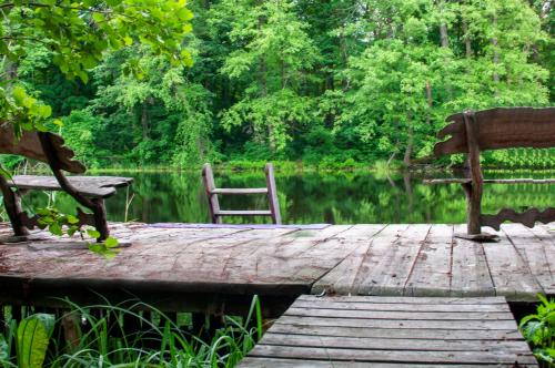 Фотографии гостевого дома 
            Лесная рыболовно-охотничья заимка