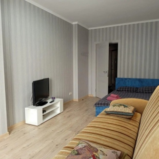 Фотография квартиры HomeSanny (ХоумСэнни) на шоссе Северное 24