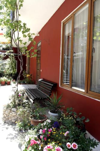 Фотография гостевого дома Лоза