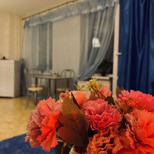 Фотография квартиры К энд К Апартментс на улице Полевая 10