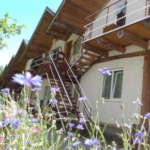 Фотография апарт отеля Простоквашино